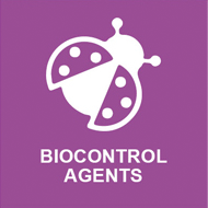 biologic