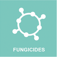 fungicide