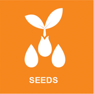 seed