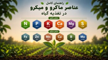 راهنمای کامل عناصر ماکرو و میکرو در گیاهان
